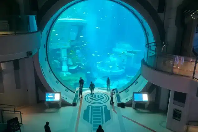 SEA WORLD  - ABU DHABI