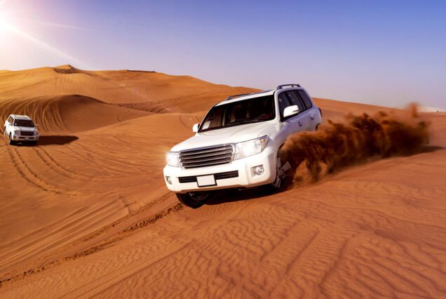 Desert Safari with Dune Bashing in Dubai