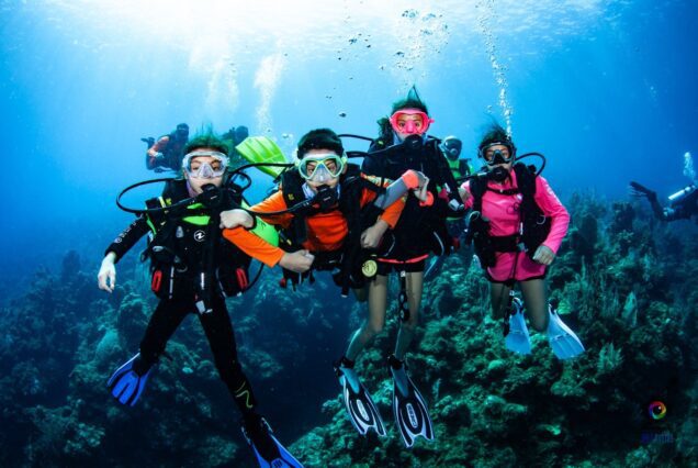 Scuba Diving Experience