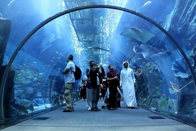 Dubai Aquarium and Underwater Zoo